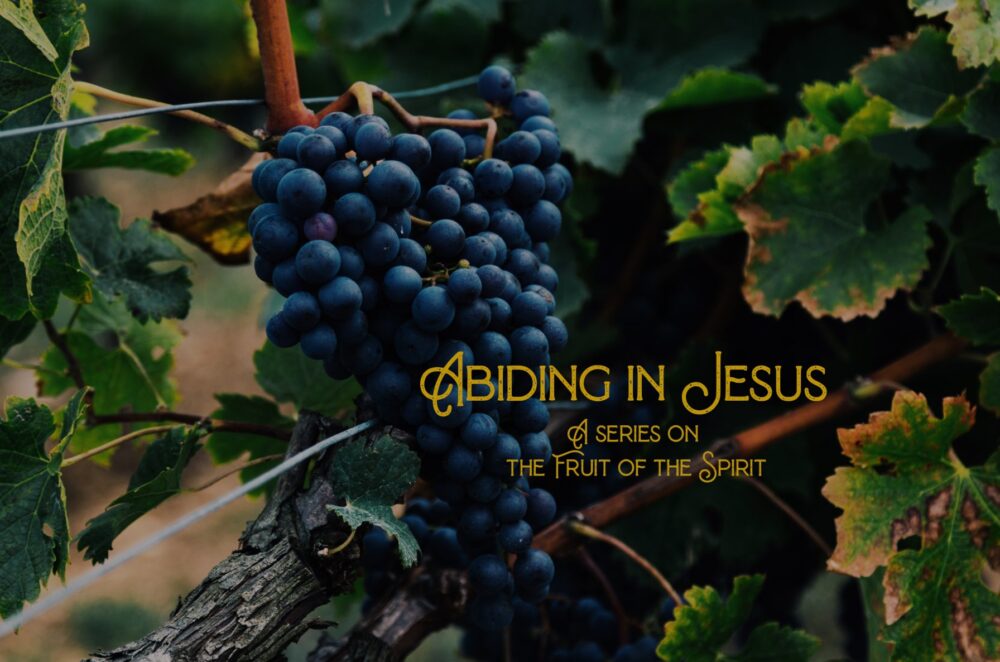Abiding in Jesus: A Series on the Fruit of the Spirit